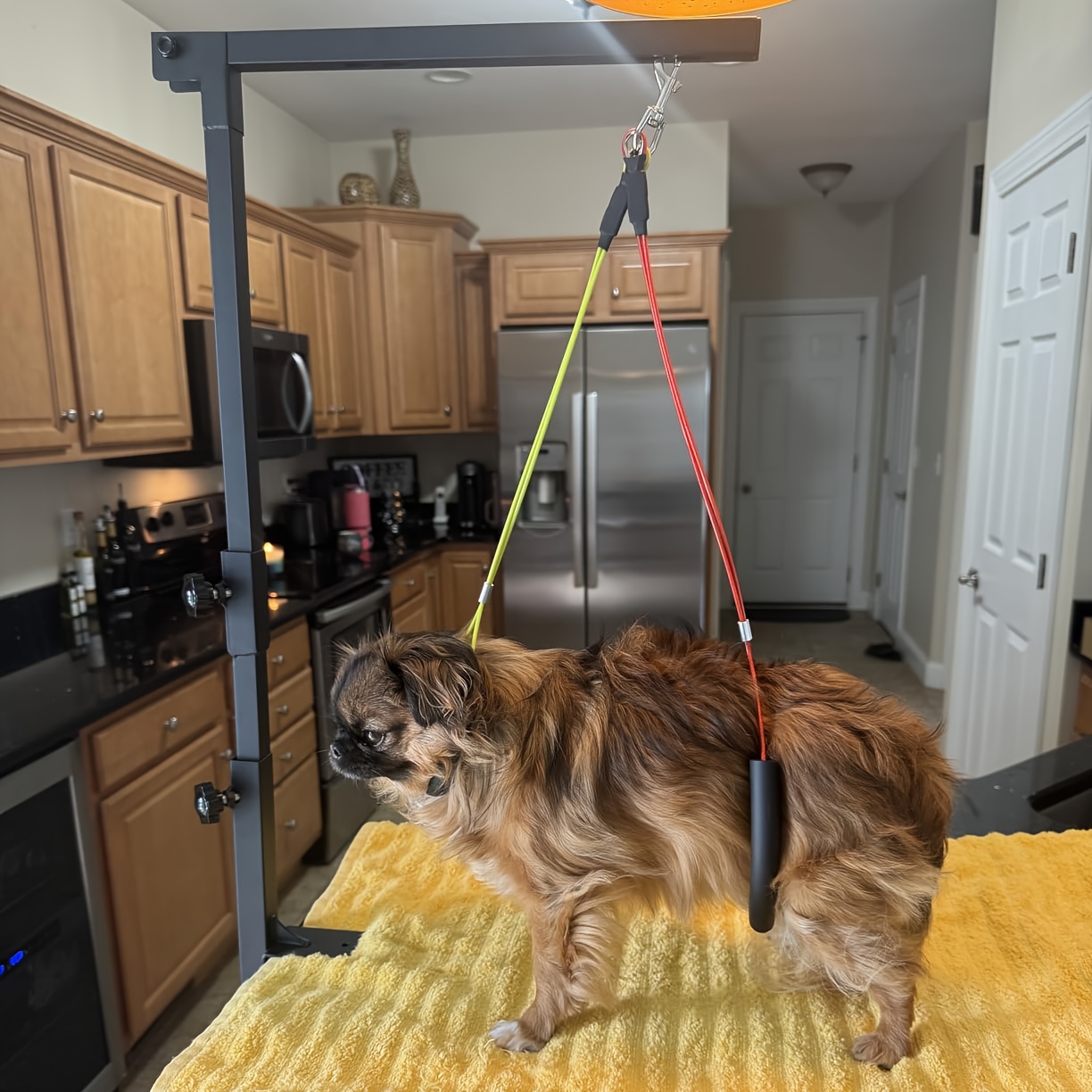 Adjustable 36" Dog Grooming Arm with Clamp - Sturdy Iron, No-Sit Haunch Holder, Three-Section Design for Medium, Small Dogs & Cats, Includes Colorful Ropes for Easy Positioning, Pet Grooming - Image 8